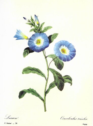 28955.jpg