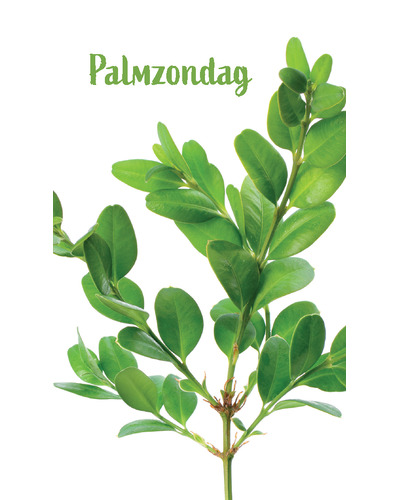 Kaart UM - PZ25/AV Palmzondag