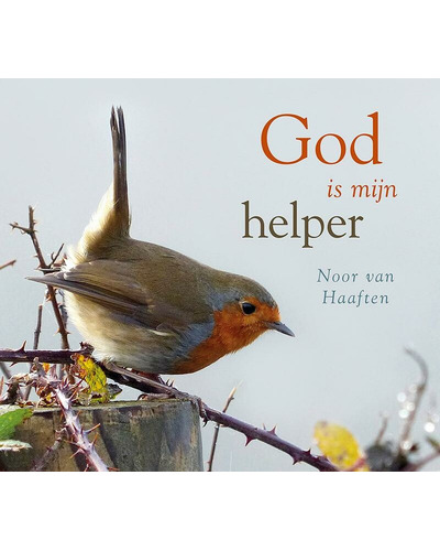 CoverFront-17117.jpg