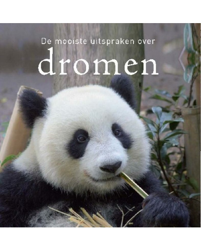 De mooiste uitspraken over dromen