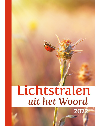 Lichtstralen uit het woord 2021