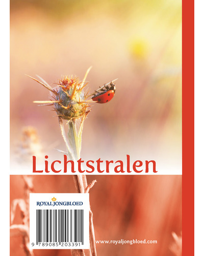 Lichtstralen uit het woord 2021