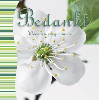 CoverFront-9239.jpg