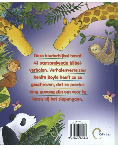 Mijn bijbelverhalenboek voor het slapen gaan