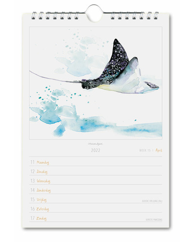 B&B - Weekkalender 2022 Blue Sky Blue Sea