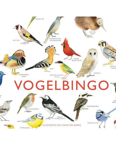 Bird bingo Bird bingo
