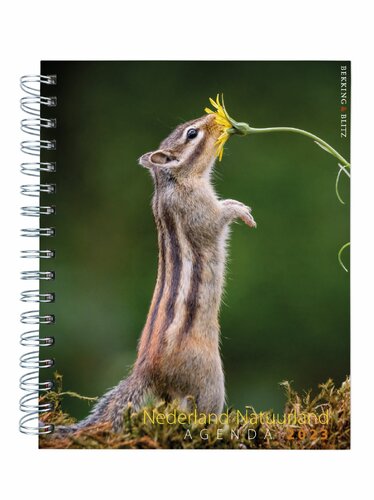 CoverFront-25647.jpg