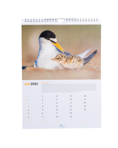 B&B - Maandkalender 2023 Vogelbescherming NL