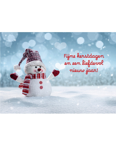 Kaart UM - DYN25/305 Fijne kerstdagen