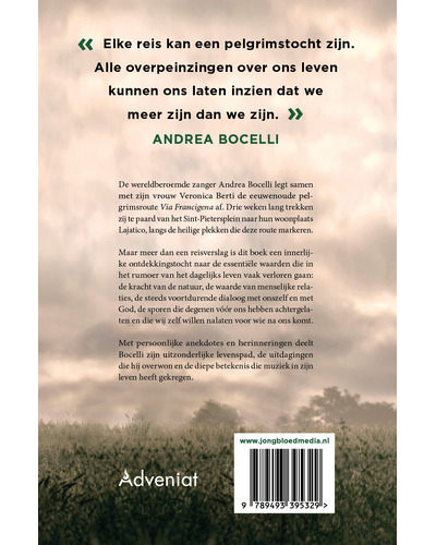 Mijn camino Mijn camino