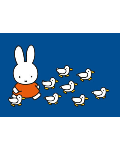Kaart B&B - QDB011 Dick Bruna