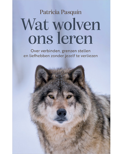 CoverFront-31112.jpg