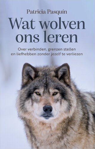 CoverFront-31112.jpg