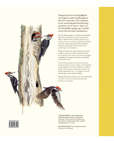 Vogel, nest & ei Vogel, nest & ei