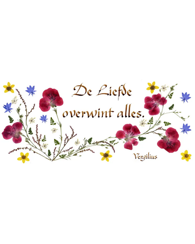 Kaart MDV - PDO-00CNL075 De liefde overwint alles