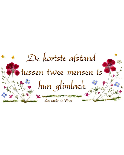 Kaart MDV - PDO-00CNL050 De kortste afstand