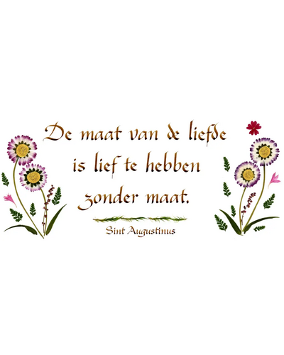 Kaart MDV - PDO-00CNL061 De maat van de liefde